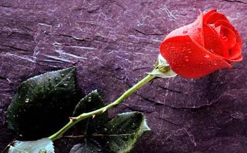 �����õ�廨����